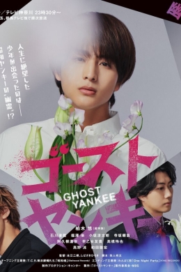 Призрачные хулиганы (многосерийный)