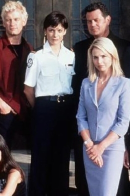 Выше закона (сериал)