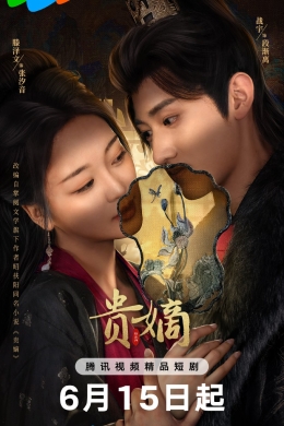 Госпожа по праву (сериал)