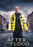 После потопа (сериал)