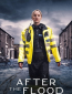 После потопа (сериал)
