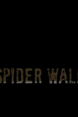 Spider Walk