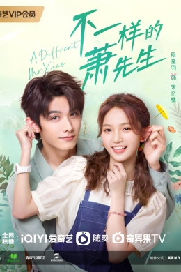 Другой мистер Сяо (сериал)