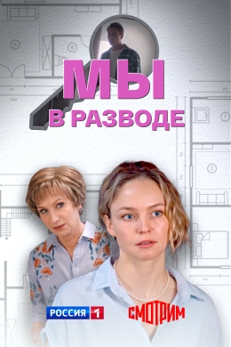 Мы в разводе (многосерийный)