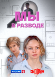 Мы в разводе (многосерийный)