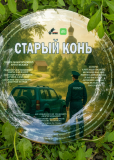 Старый конь (сериал)