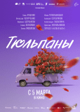 Тюльпаны