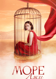 Море лжи (сериал)