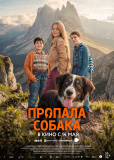Пропала собака