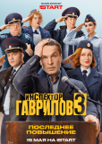 Инспектор Гаврилов (сериал)