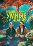 Необычайно умные создания