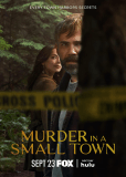 Убийство в маленьком городке (сериал)