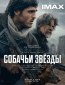 Собачьи звёзды
