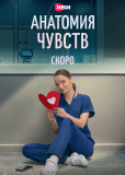 Анатомия чувств (сериал)