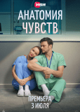 Анатомия чувств (сериал)
