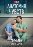 Анатомия чувств (сериал)