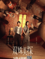 Дуэт теней (сериал)
