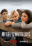 Моя жизнь с мальчиками Уолтер (сериал)