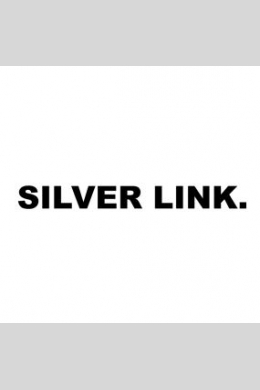 Silver Link