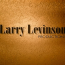 Larry Levinson Productions