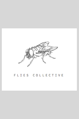 Flies Collective