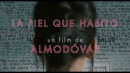 La piel que habito (The Skin I Live In) (2011) / Official Trailer