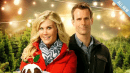 Murder, She Baked: A Plum Pudding Mystery - Starring Alison Sweeney & Cameron Mathison 
