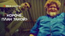 Трейлер комедии «Короче, план такой», Wink Originals (2023), Кирилл Нагиев, Софья Каштанова.